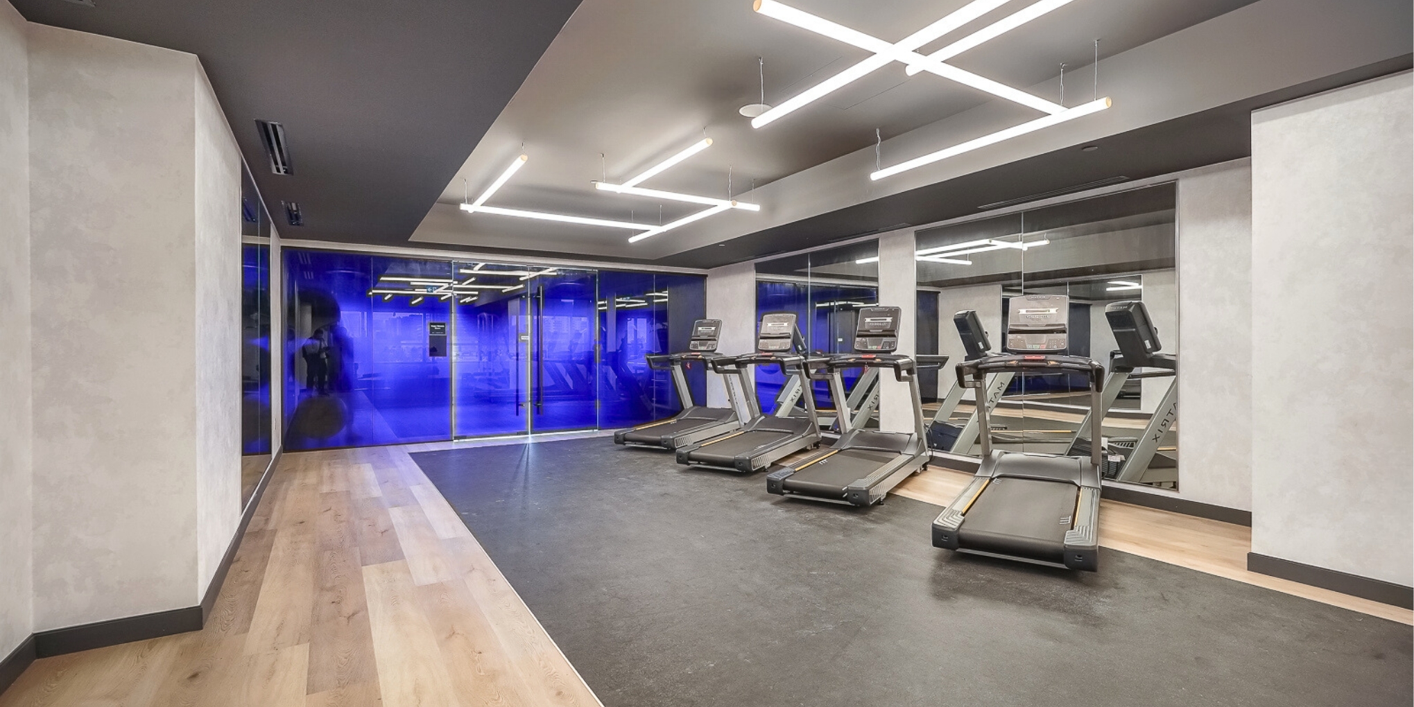 Artform Gym 1